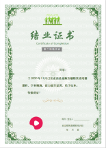  900055竖版